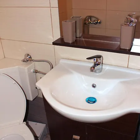 Apartament Impeccable 1-bedroom Center